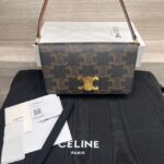 Сумка Celine Trapeze Triomphe 14444