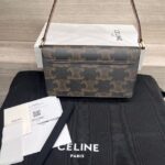 Сумка Celine Trapeze Triomphe 14444 — изображение 2