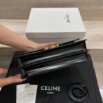 Сумка Celine Triomphe Folio 14323 — изображение 3